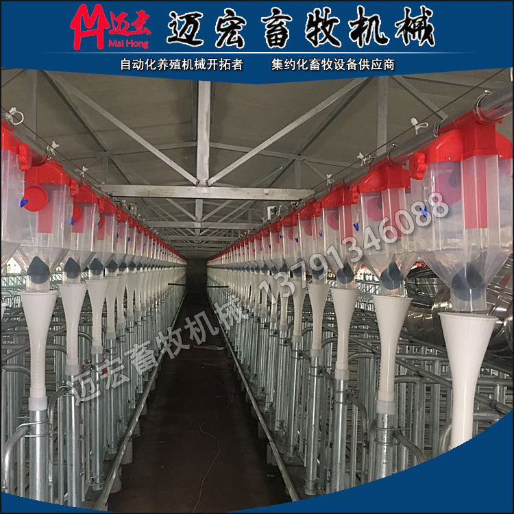 自動(dòng)化養豬設備養豬料線(xiàn)
