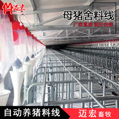 豬廠(chǎng)自動(dòng)供料系統-豬舍料線(xiàn) 母豬料線(xiàn)